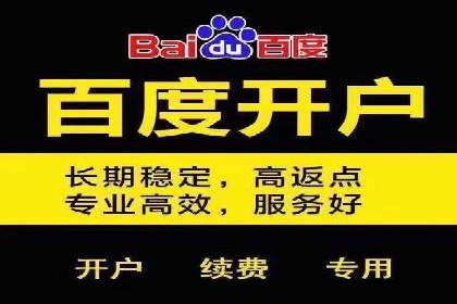 SEM搜索引擎优化策略解析与应用案例